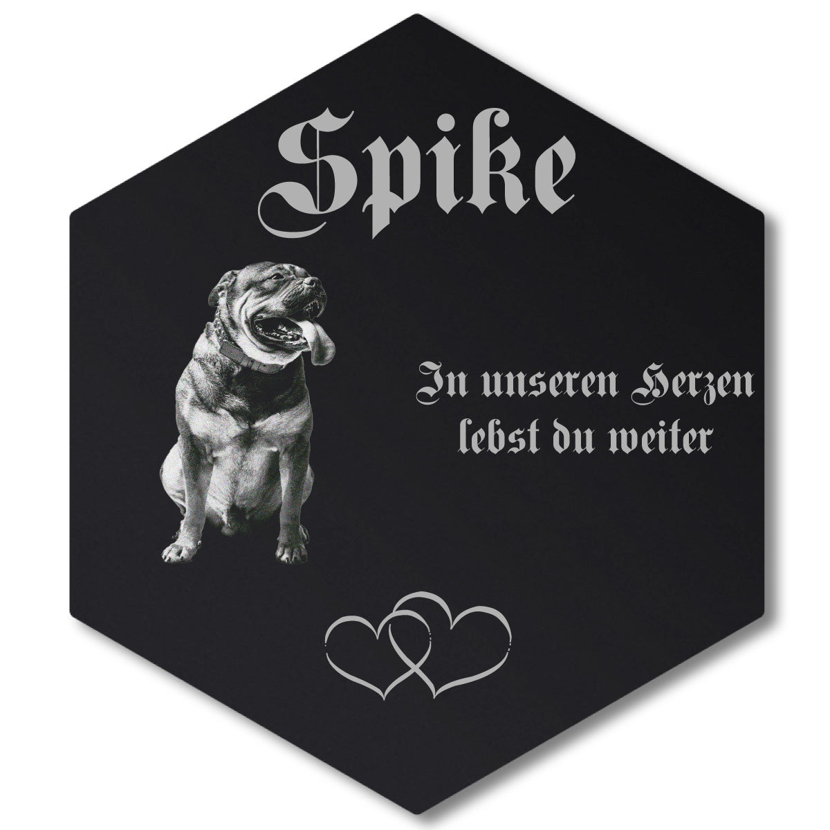 Acrylglas Tier Grabschmuck Sechseck - Foto Lasergravur Beispielgravur