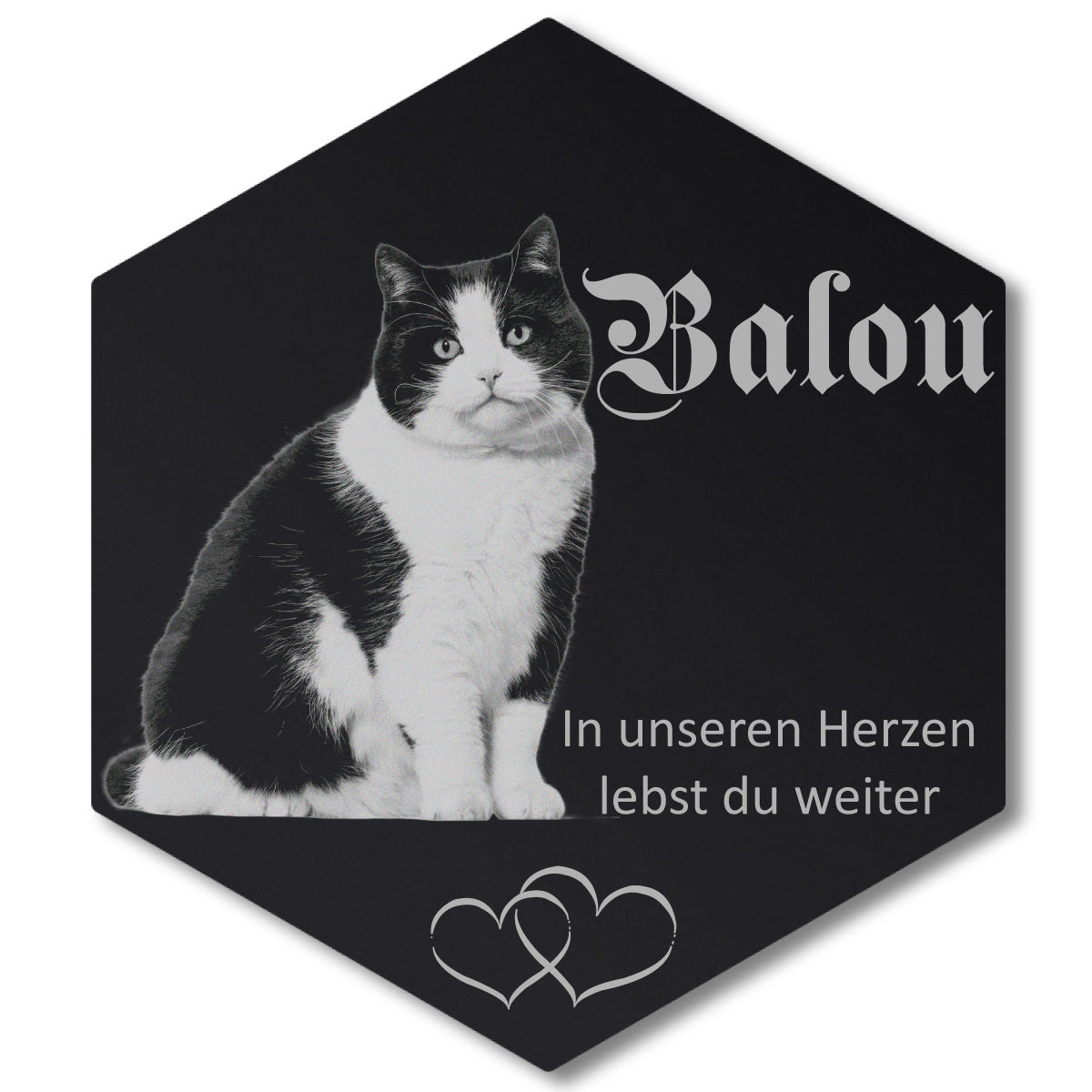 Grabplatte Katze: freigestellte schwarz-weiße Katze mit Herzen auf Acrylglas-Sechseck