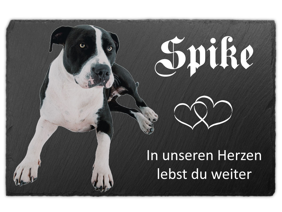 Hundegrabstein in Farbe – freigestellter Hund im UV-Druck auf Schiefer