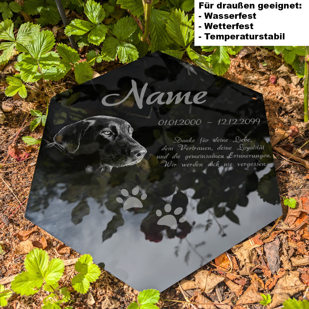 Acrylglas Tier Grabschmuck Sechseck - Foto Lasergravur Außenbereich