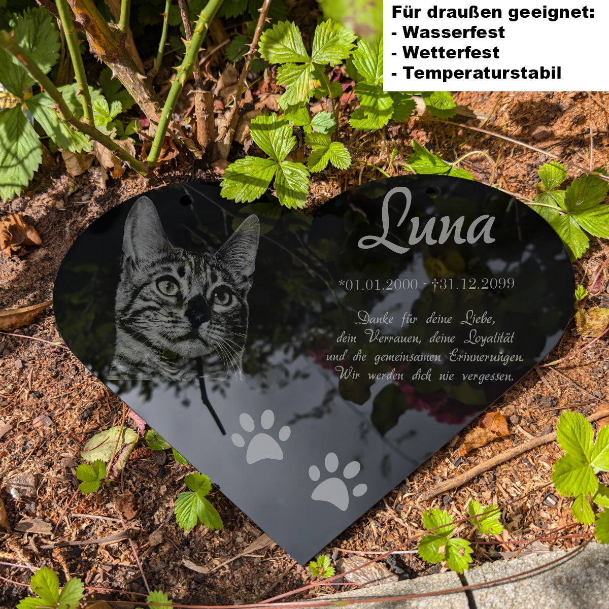 Grabstein Katze Herz draußen im Garten – Acrylglas wetterfest