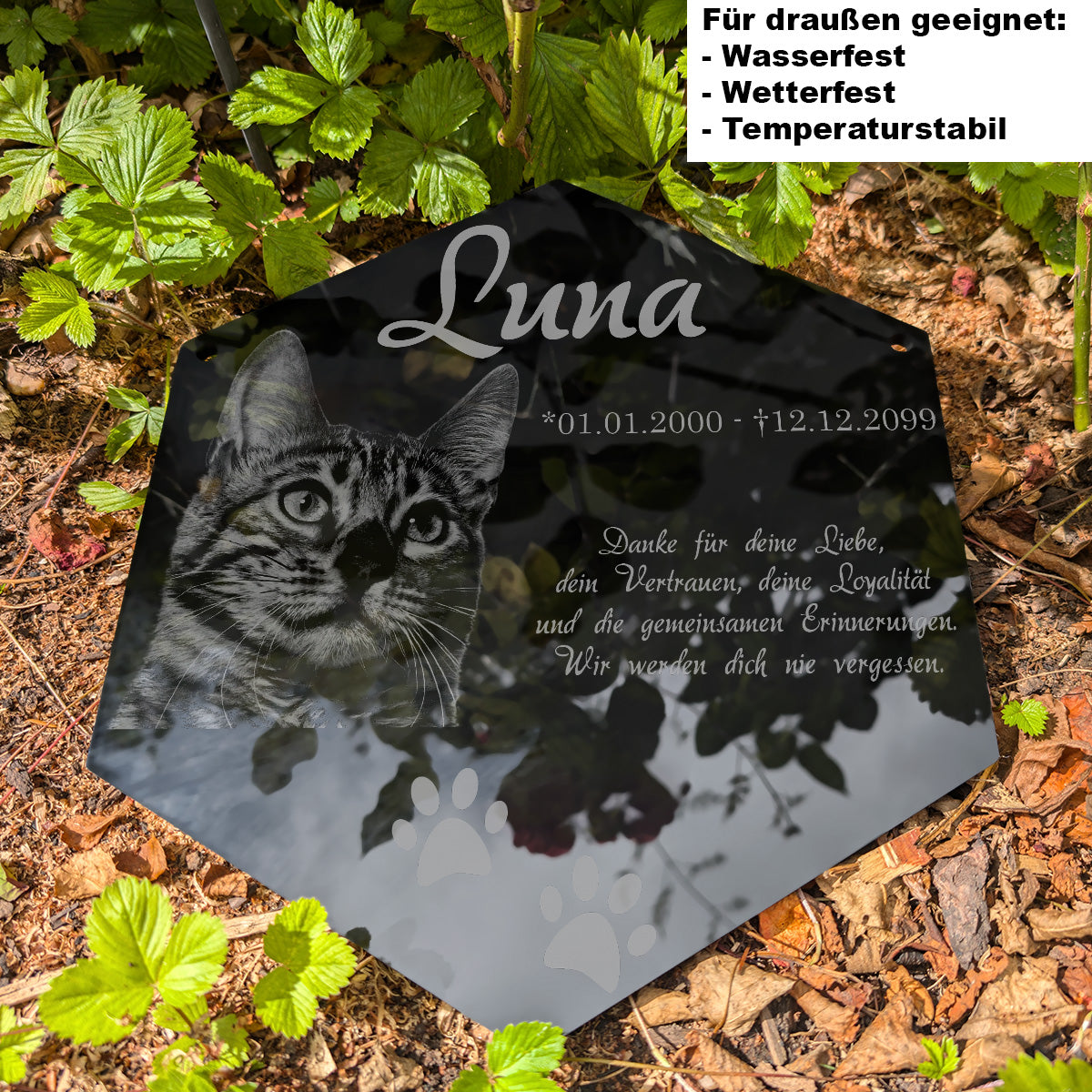 Grabplatte Katze flach im Garten liegend – Acrylglas wetterfest