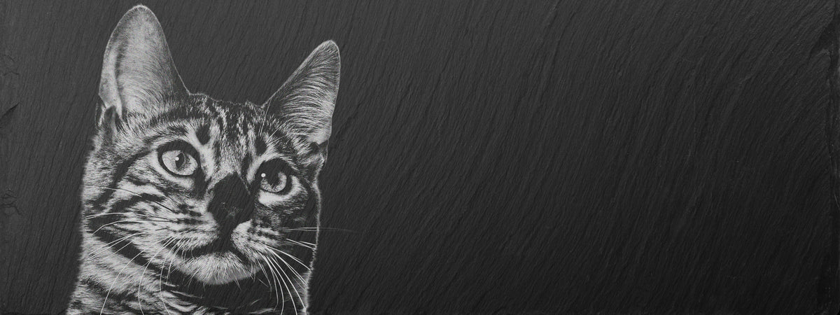 Grabstein Katze mit Foto: getigerte Katze per Laser in Schiefer eingebrannt