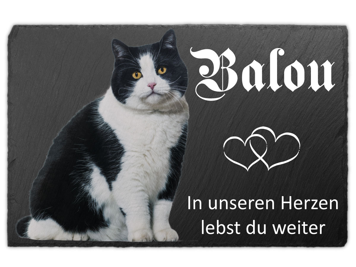 Katzengrabstein in Farbe – freigestellte schwarz-weiße Katze im UV-Druck auf Schiefer
