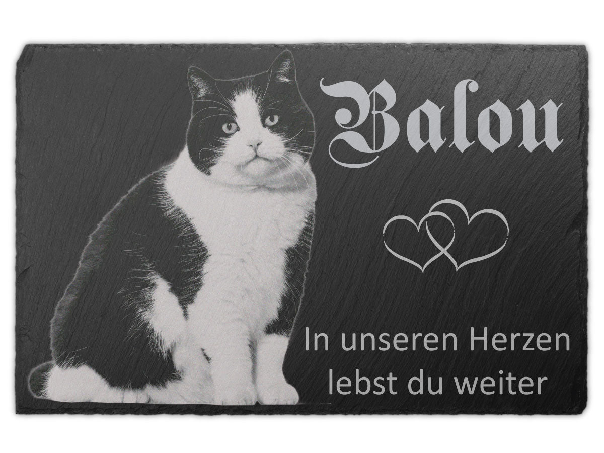 Grabstein Katze aus Schiefer – Foto ohne Hintergrund, schwarz-weiße Katze
